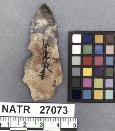 NATR   27073 -- Dickson Cluster projectile point
