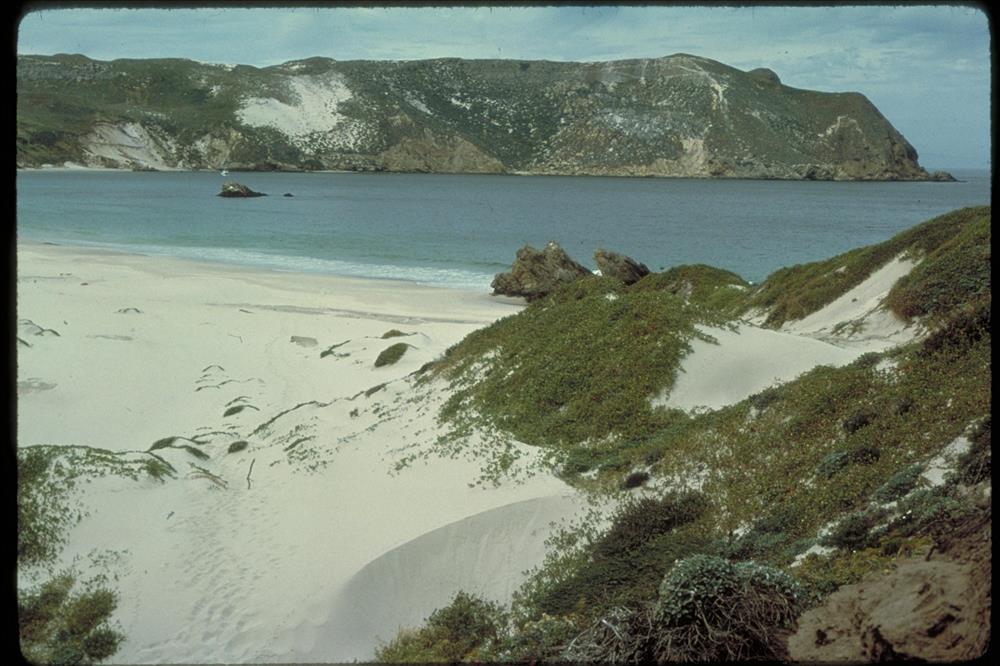 Cuyler Harbor, San Miguel Island looking from sand dunes on beach to the bay with Harris Point in background.

