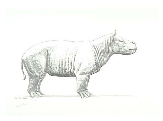 a Coryphodon, a prehistoric mammal of the Eocene Epoch