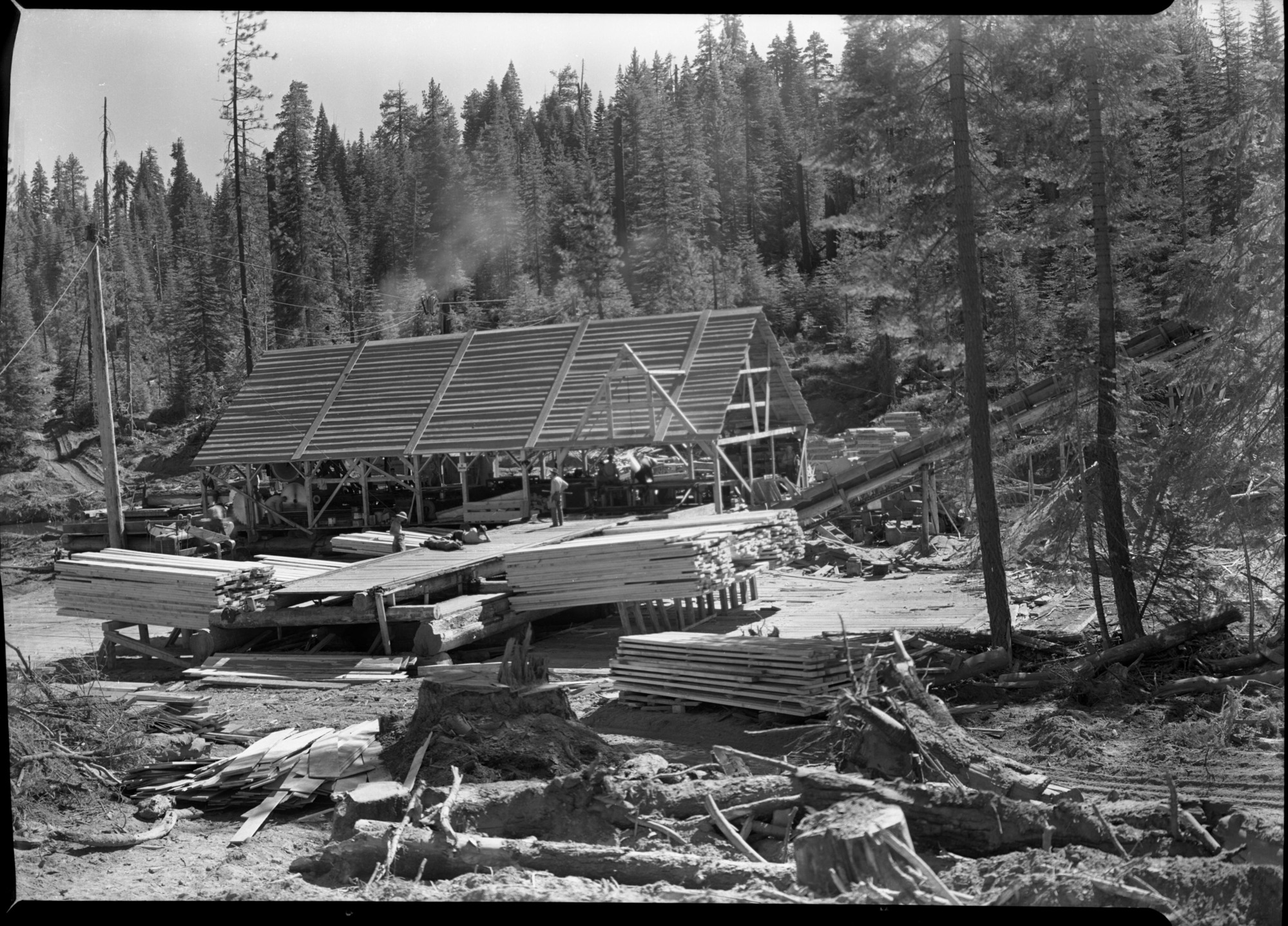 Aspen Valley logging operations.