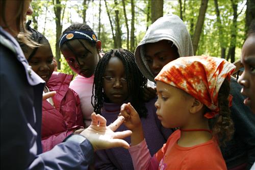 CVEEC Girl Scouts forest exploration