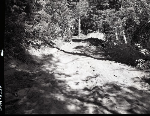 Dirt road from Potato Hollow to Kolob Creek bulldozer graded road section on park land.