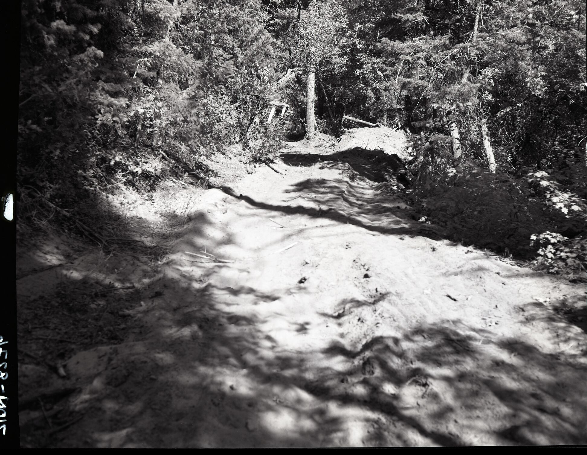 Dirt road from Potato Hollow to Kolob Creek bulldozer graded road section on park land.
