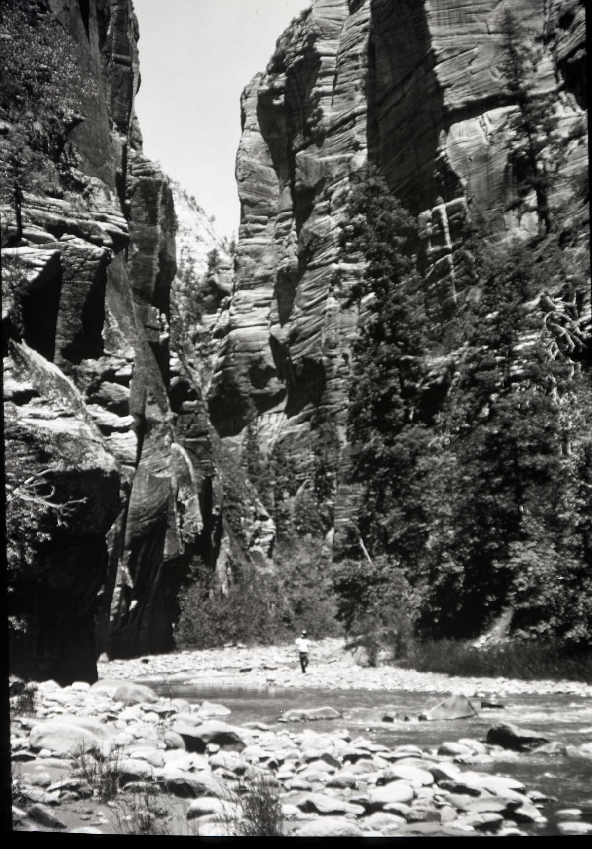 Zion Narrows with hiker in foreground.