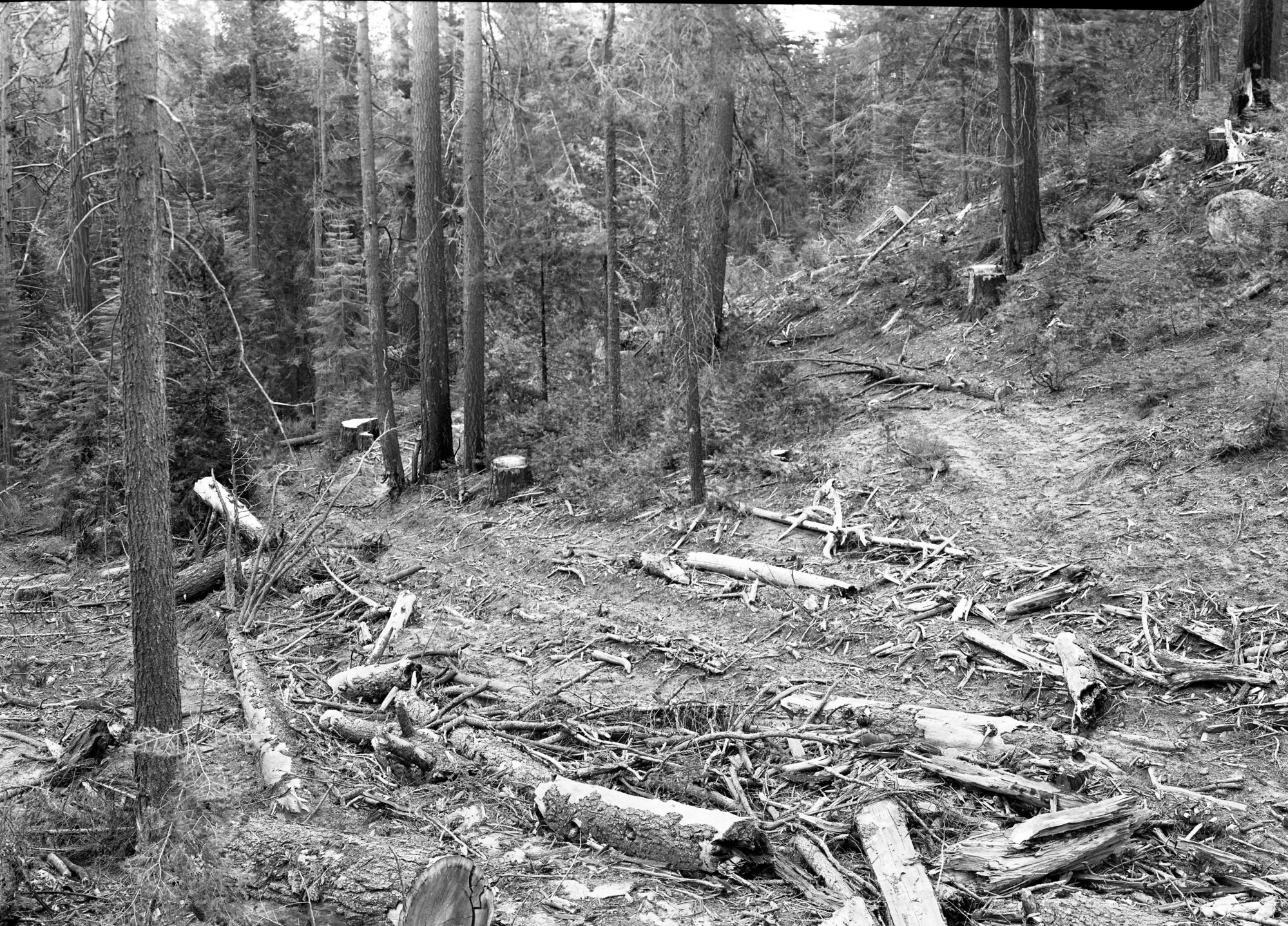 Cutting operation over boundary at Cuneo's