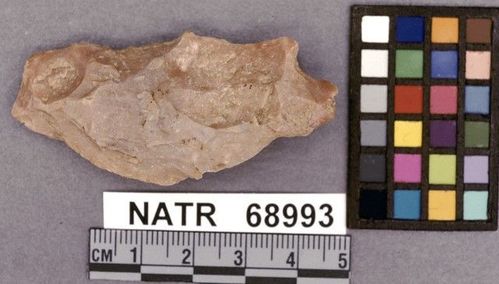 NATR   68993 -- White Springs Cluster projectile point