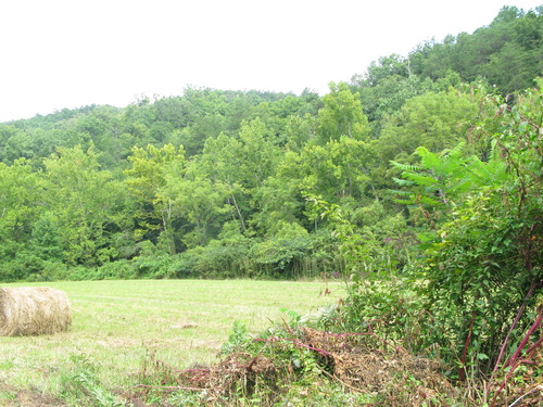 GRSM Accuracy Assessment. Plot Code: GRSM_AA_0533_2