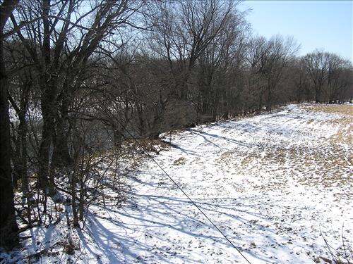 Establish Forested Riparian Buffers