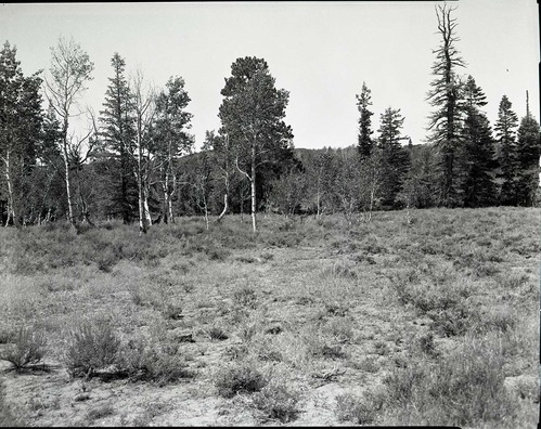 Private land, section 13, T 39 S, R 10 W, SE 1/4 SE 1/4 appraised by Elwood Corry.