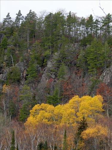National Natural Landmark - MTU Letter of Support