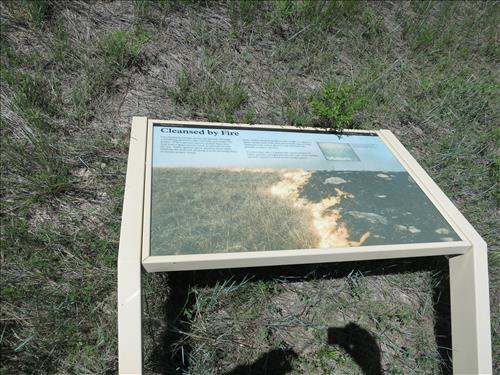 BADL Interpretive Media Waysides (IM Data)