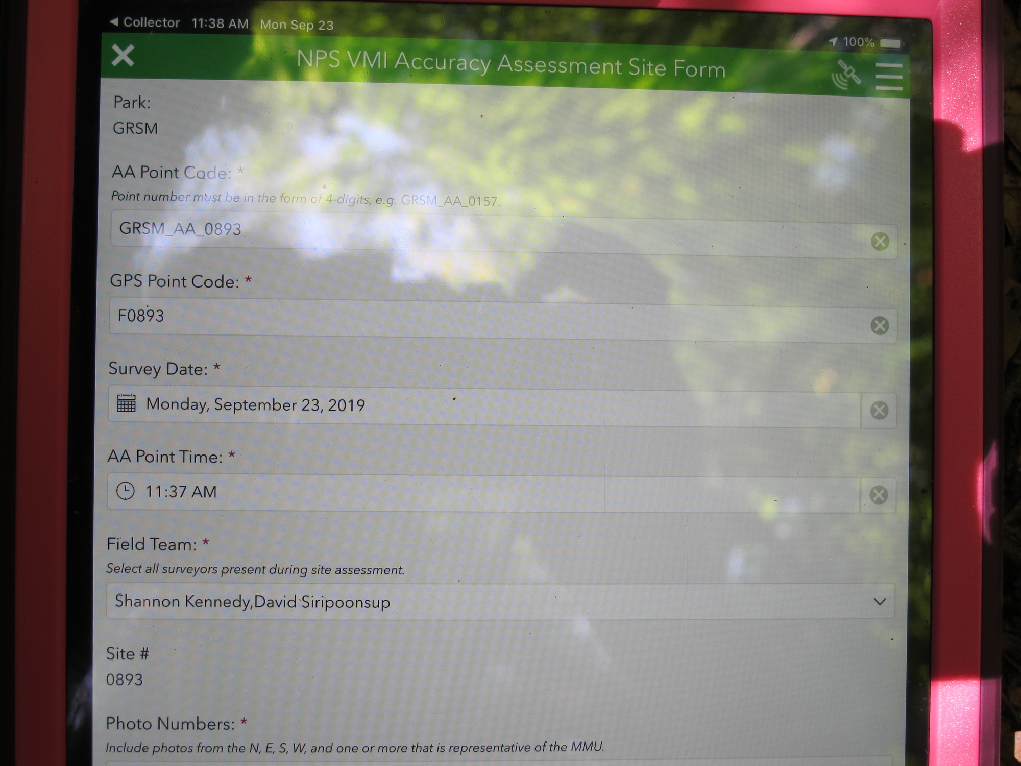 GRSM Accuracy Assessment. Plot Code: GRSM_AA_0893_1