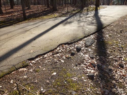 Resurface Turkey Run and Oak Ridge Campground Loop Roads in February 2012