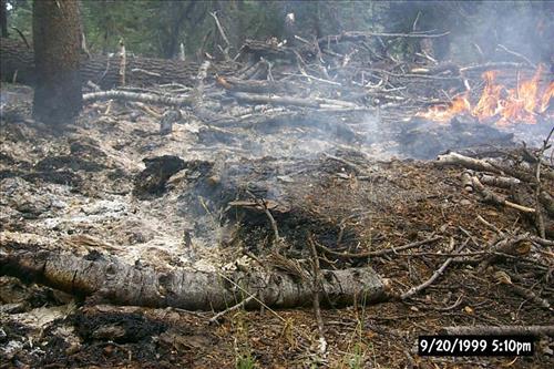 Dark Wildland Fire, July-September 1999, Yosemite National Park