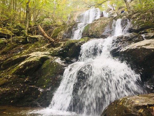 A waterfall cascades over rock boulder; green and yellow trees in background