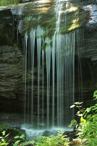 Shaded green moss grows down the cascade of Grassy Creek Falls in Little Switzerland. Waterfalls commonly provide good exposure of local bedrock that might otherwise be covered by vegetation. 