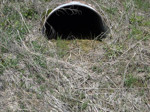 BADL Facilty Management Collection: Loop Road (RT 10) - FY10 Culverts