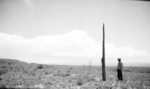 Deseret Telegraph Company telegraph pole. Ray Mose next to sixth standing pole, Site E-16 approximately 2.5 miles west of Pipe Spring National Monument, and 0.5 mile north of present road.