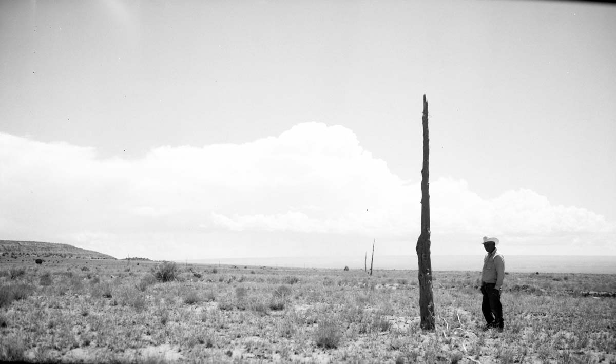 Deseret Telegraph Company telegraph pole. Ray Mose next to sixth standing pole, Site E-16 approximately 2.5 miles west of Pipe Spring National Monument, and 0.5 mile north of present road.