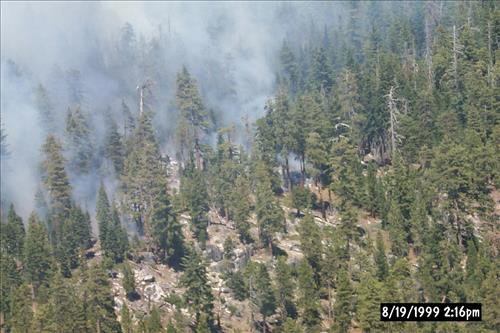 Eleanor Wildland Fire, August-September 1999, Yosemite National Park