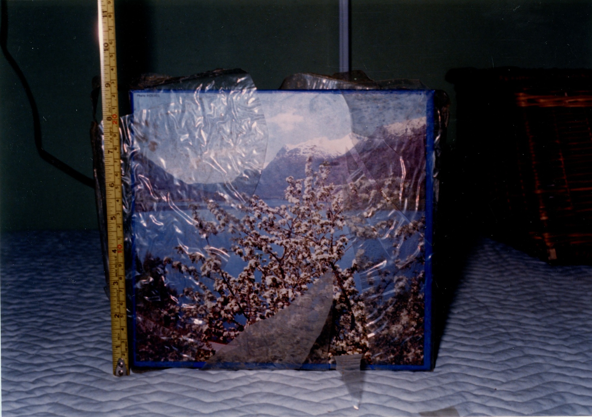 Cookie box found inside HSTR Cat #2112 back