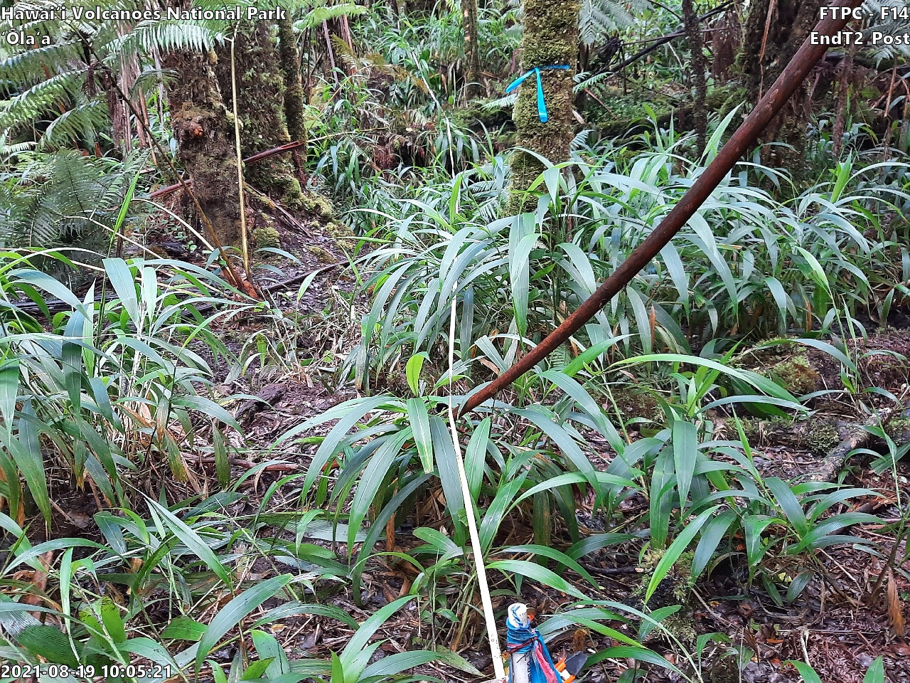 Photo of plot marker for relocation