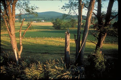 Catoctin Mountain Park, Maryland