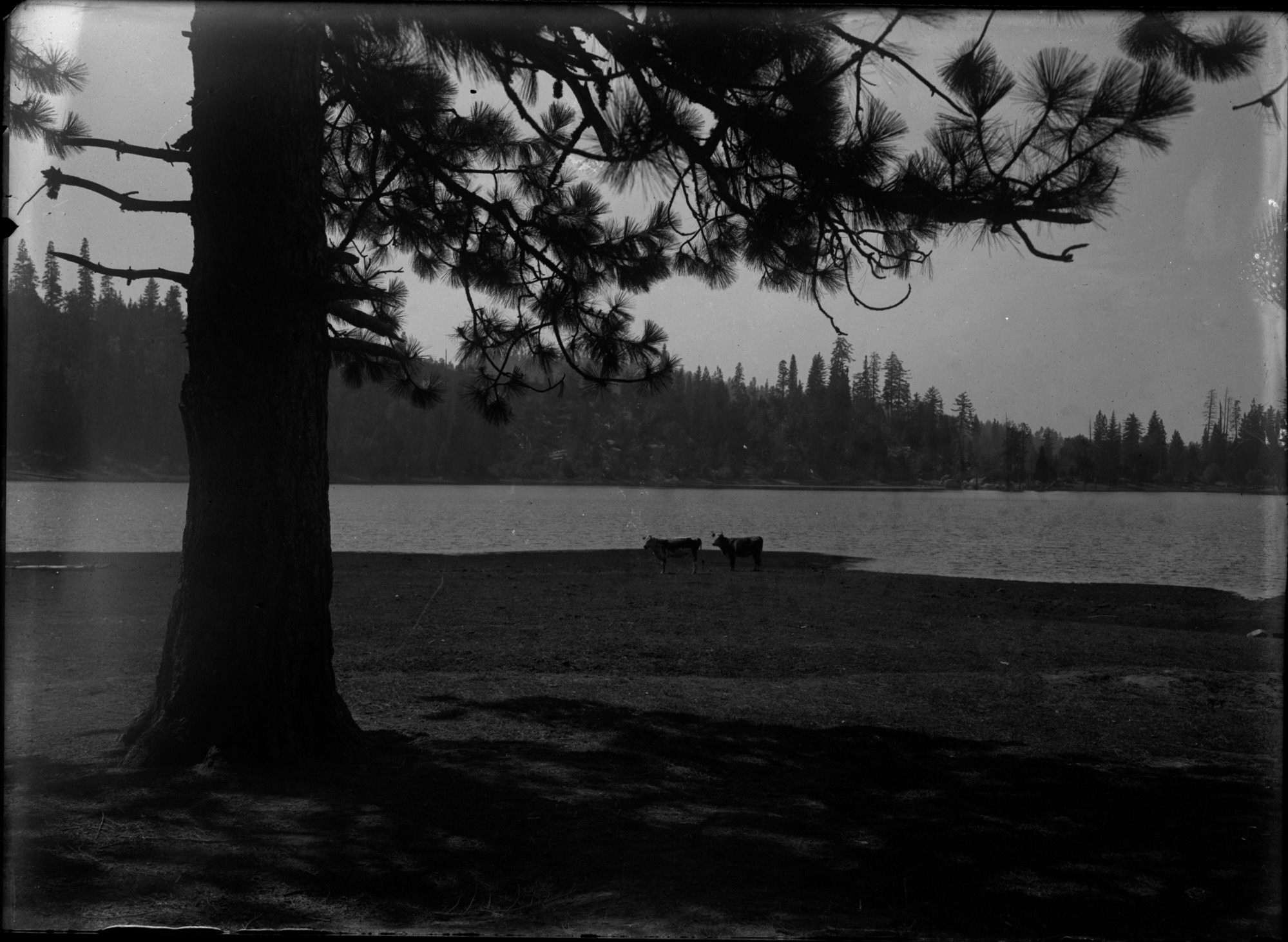 SEKI Roberts Collection Series: 1 Glass Plates; 1 Small glass plates; 6 Lakes