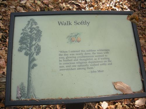 Giant Forest--Unpaved Trails--waysides--Sequoia and Kings Canyon National Park--12/2009