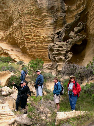 sri-travel-visitors-kdo - 01