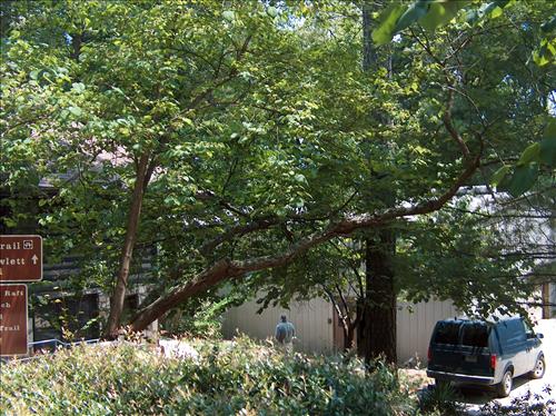 Headquarters Storage Building at Chattahoochee River National Recreation Area in August 2006