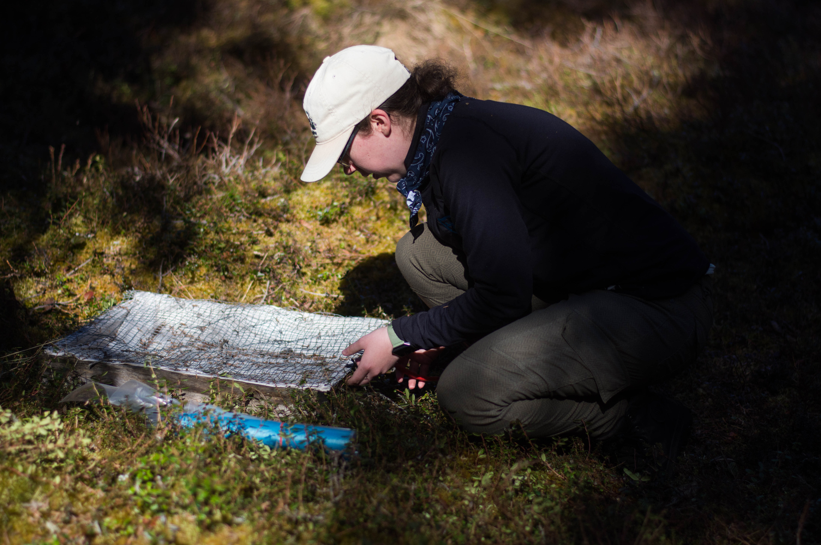 a woman kneeling in a forest next to a screen of some kind