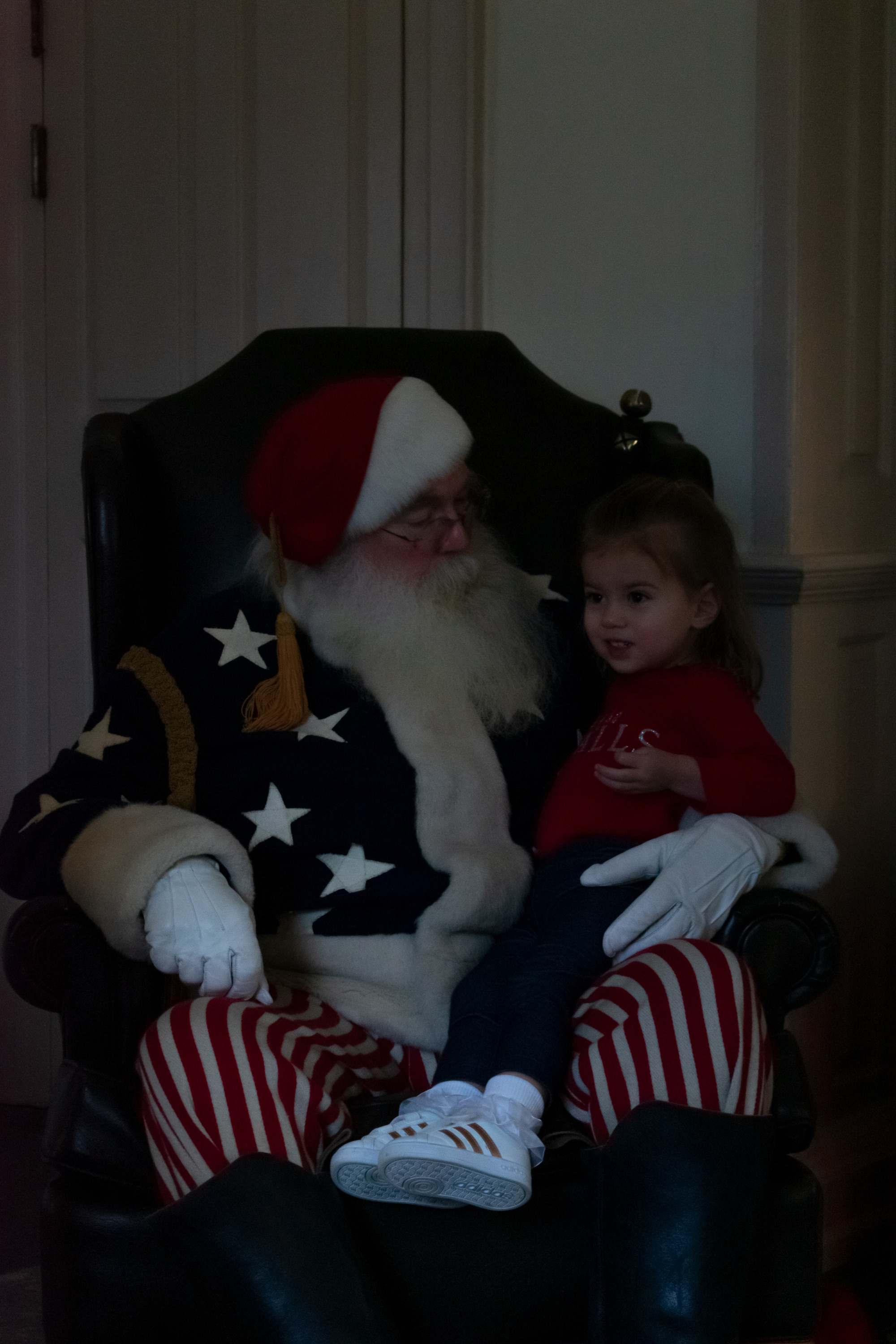 A little girl sits in Santa's lap.