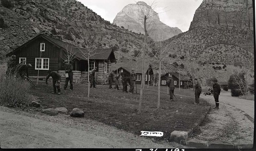 Civilian Conservation Corps (CCC) workers planting trees at the Oak Creek residential area.