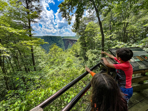 Two kids looking at the New River Gorge Bridge from an overlook