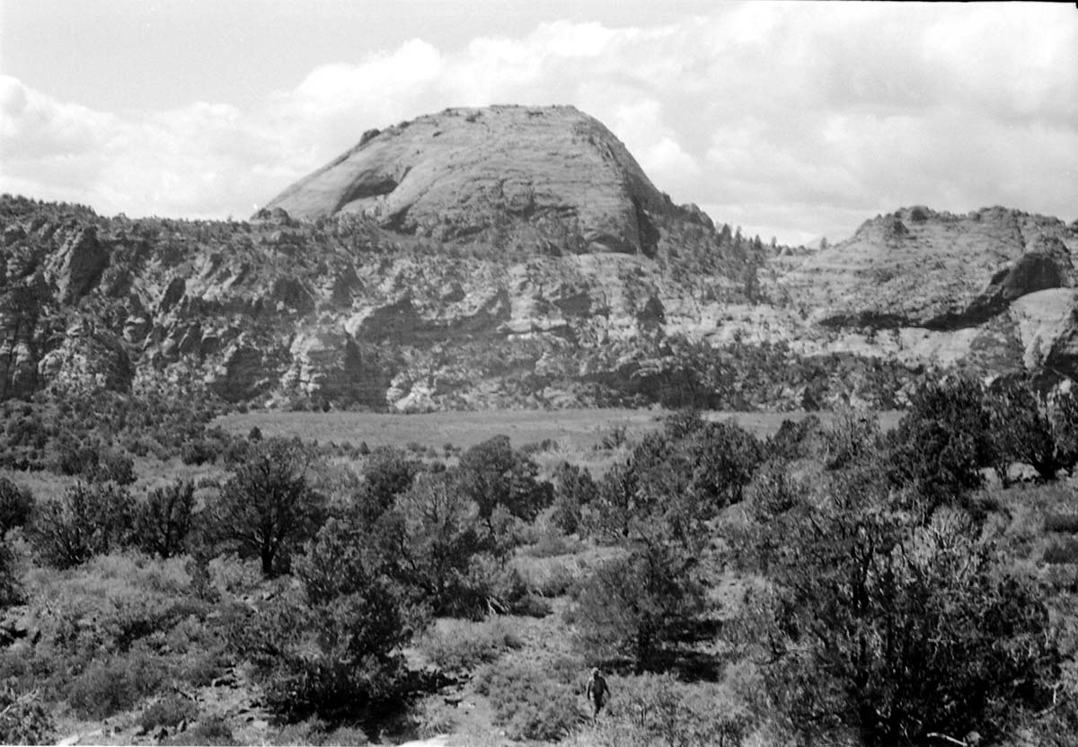 BW photo of the 1937 grazing study 35MM.