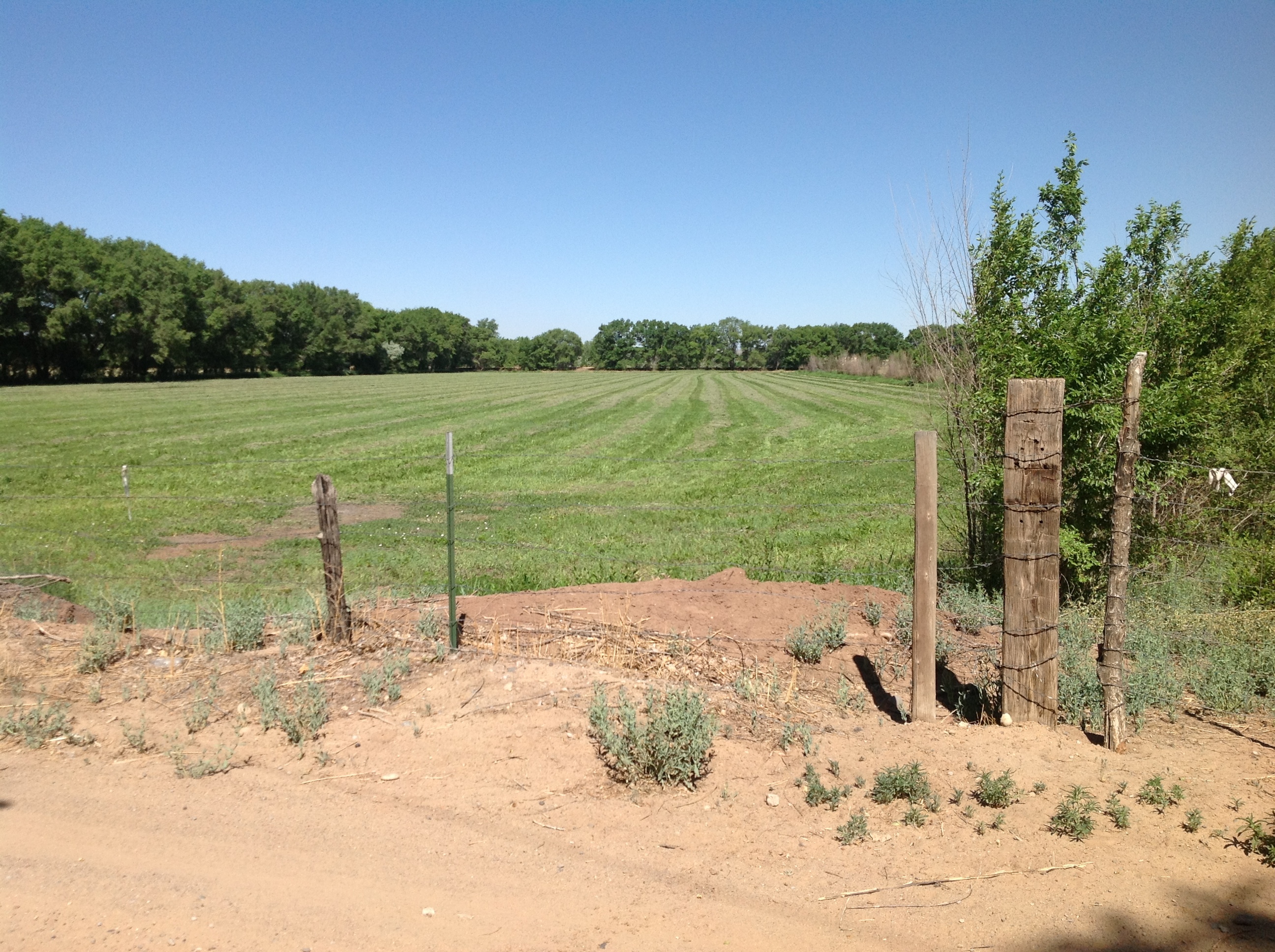 A dirt road next to a field with a fence.