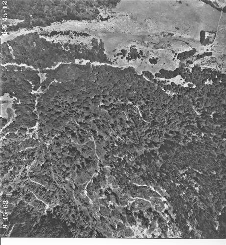 Point Reyes National Seashore Aerial Survey, 1963 Part 3 of 4