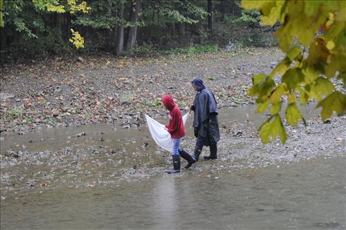 Cuyahoga Valley Environmental Education Center, Chippewa Creek Water Testing1