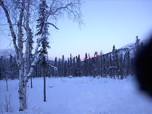 3 Gates of the Arctic National Park and Preserve Hares Survey Winter 2006
