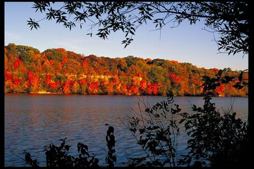 Visual Quality Workshop (Sept 2007)