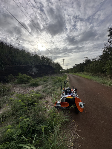 A road with grass on both sides. On the side of the road is a wagon filled with weedwhackers, PPE, and personal items.