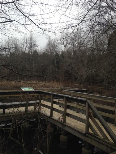Mammoth Cave Sloans Pond Boardwalk