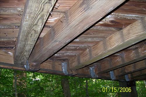 Piedmont Forest Trail deck at Prince William Forest Park in September 2009