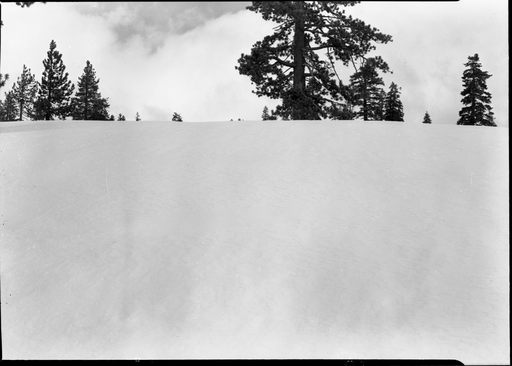 Looking toward top of Sentinel Ridge and toward Buena Vista Crest from the southern tip of Sentinel Ridge.