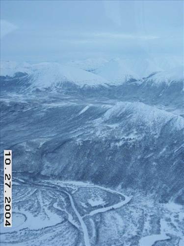 9 Gates of the Arctic National Park and Preserve Koyukuk Moose Survey 2004