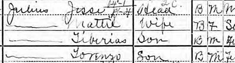 1900 Census record listed Tiberius and his family.