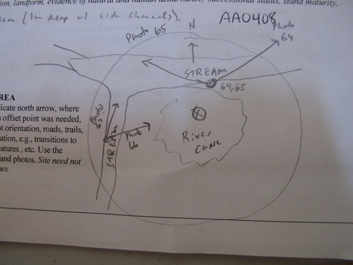 GRSM Accuracy Assessment. Plot Code: GRSM_AA_0408_7