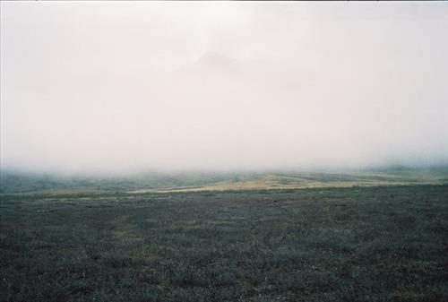 3 Gates of the Arctic National Park and Preserve Itkillik Birds Survey June 2006