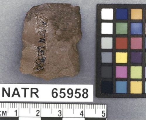 NATR   65958 -- Untyped projectile point